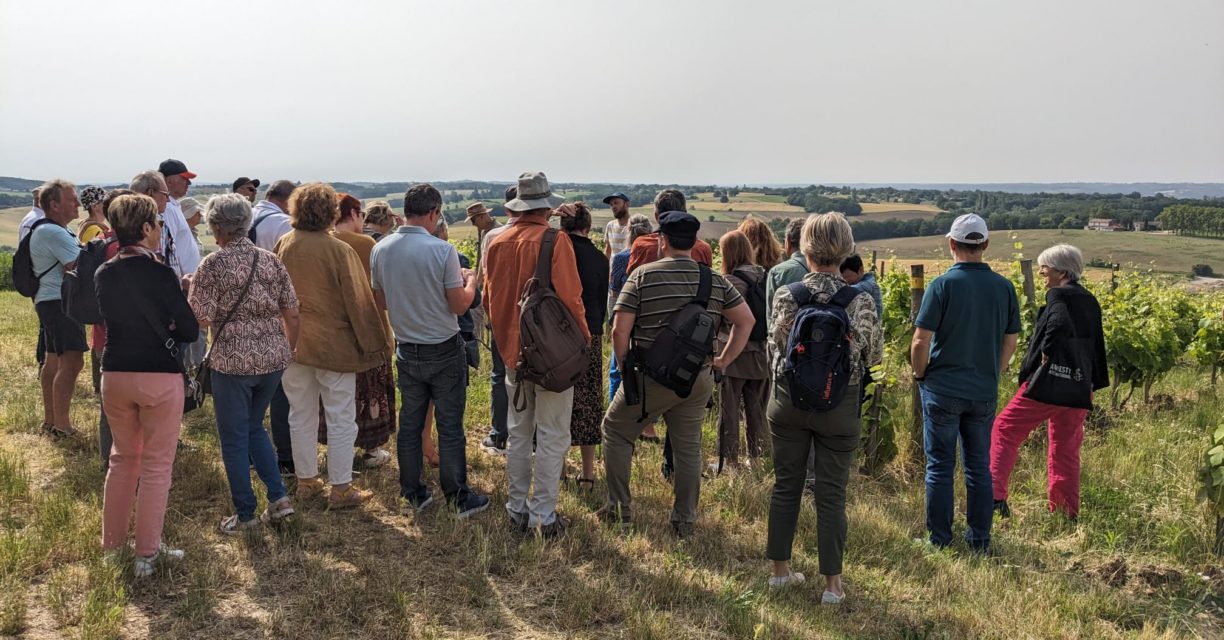 Sortie œnologie MJC des Arts de Blagnac