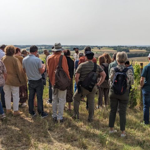 Sortie œnologie MJC des Arts de Blagnac