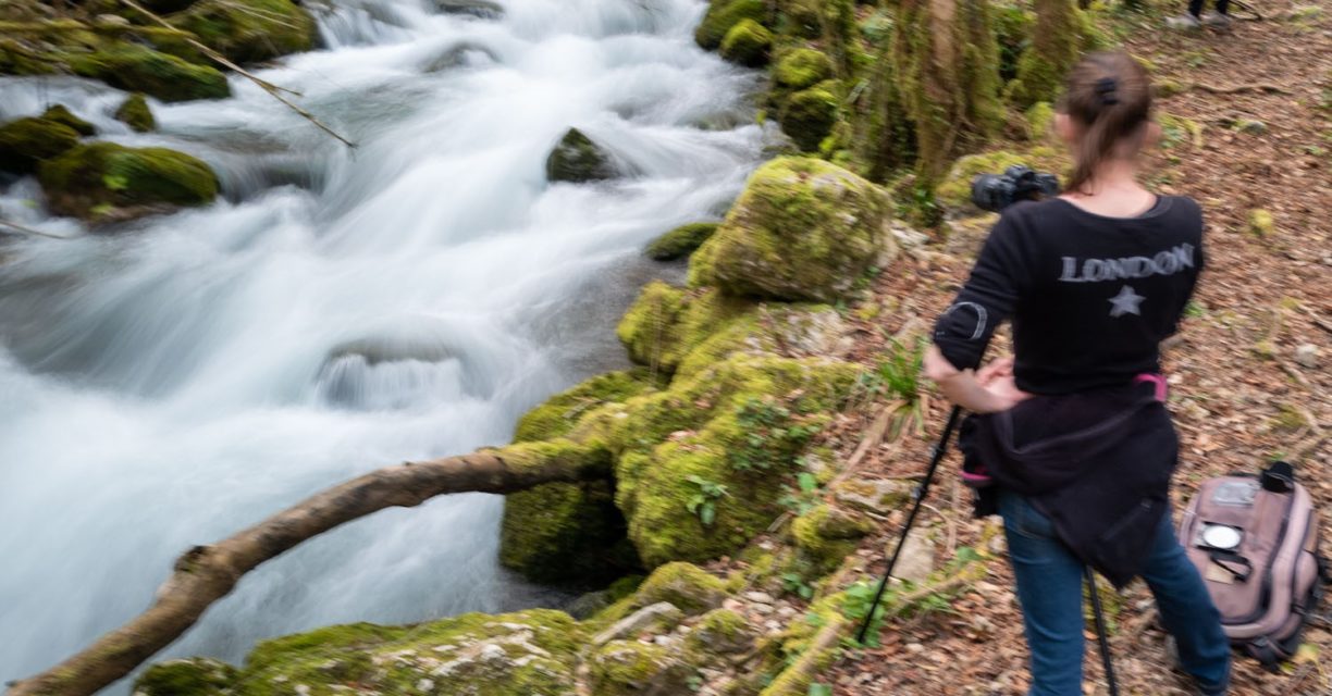 Gourgue d'Asque, 16 mars 2024© Fabien Ferrer